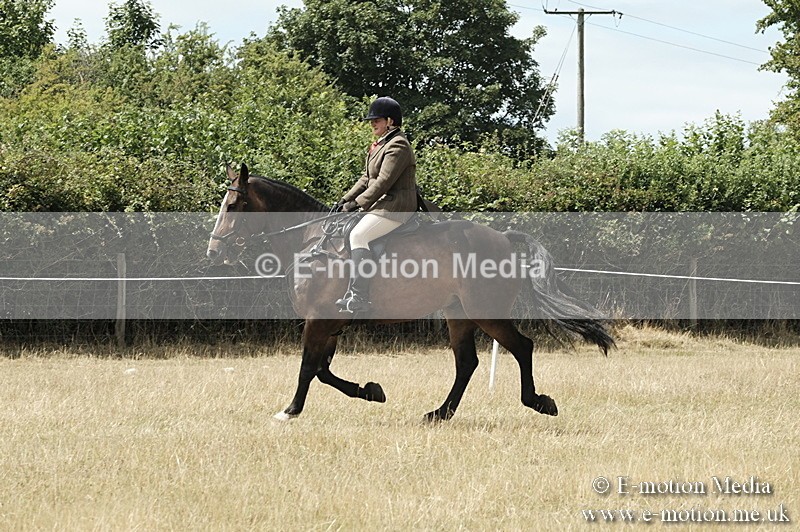 _PJP6017 - BVRC Show 2018 Ring 1