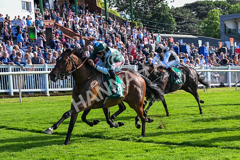 310526-Race 5-Fandom-9092 - Race 5 17.45pm Sky Bet Price Boosts Handicap