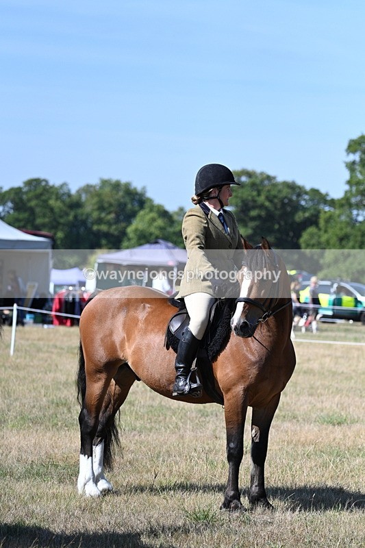 WJ7_3697 - Class 9 Mountain & Moorland Ridden