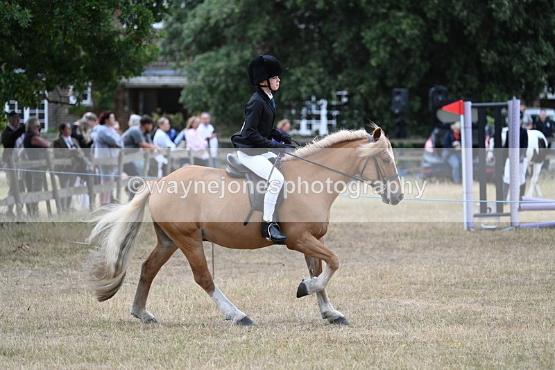 WJ7_7176 - Class 2 Best Rider