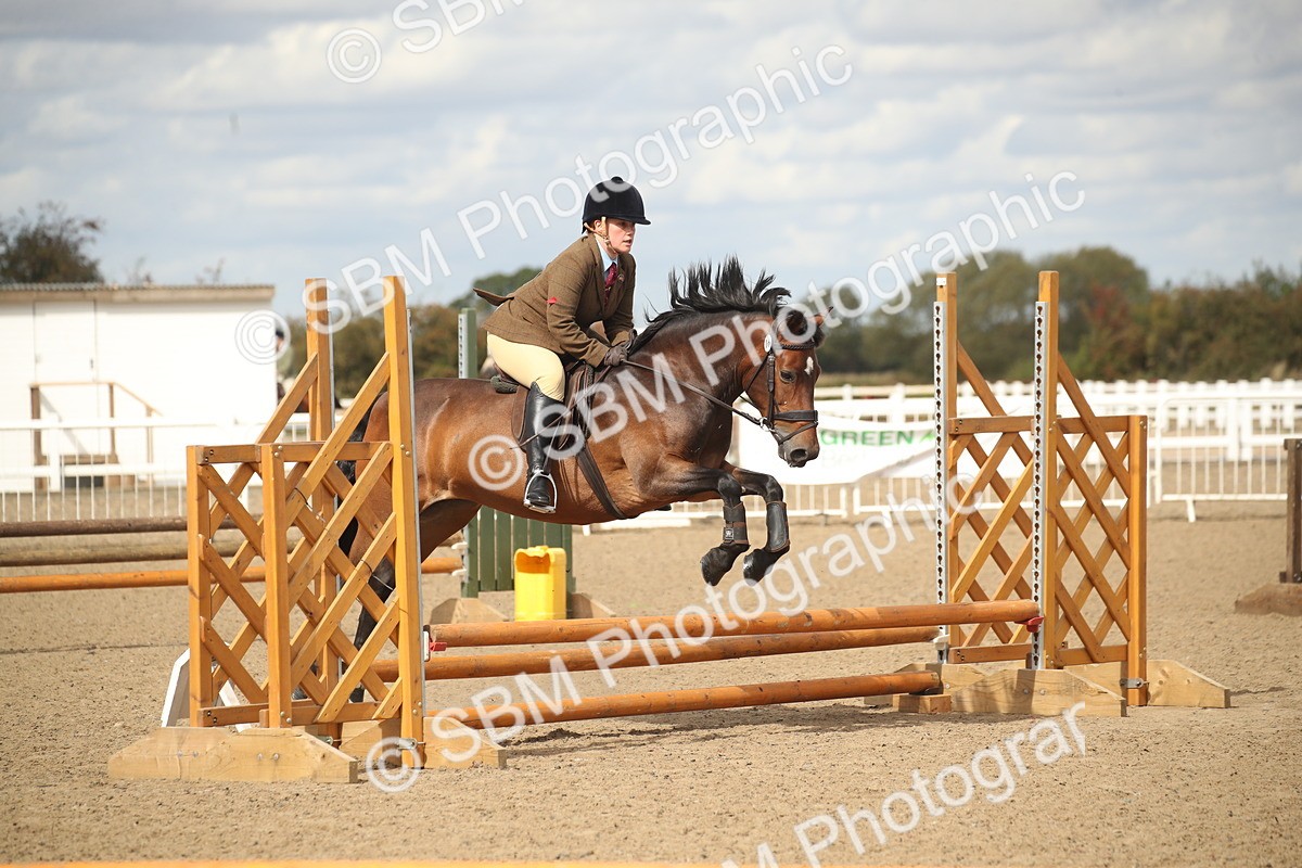 SBM_14532 - Class 505a - M&M Working Veteran - 50cm (15-19)