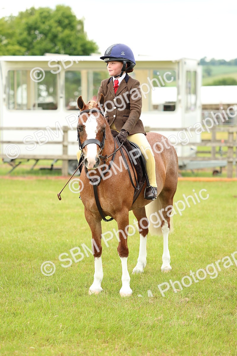 SBM_10387 - Class 44-45 - LIHS BSPS Open Nursery and Cradle Stakes