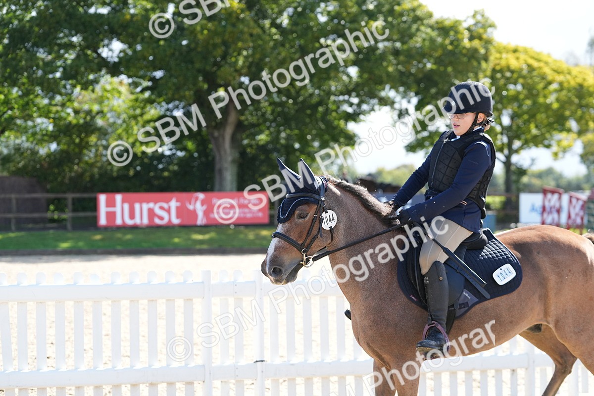 SBM_38344 - J6 - Junior Pony 55cm Championship