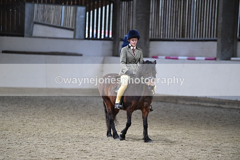 WJ5_8600 - Class 14 Novice Ridden/Rider