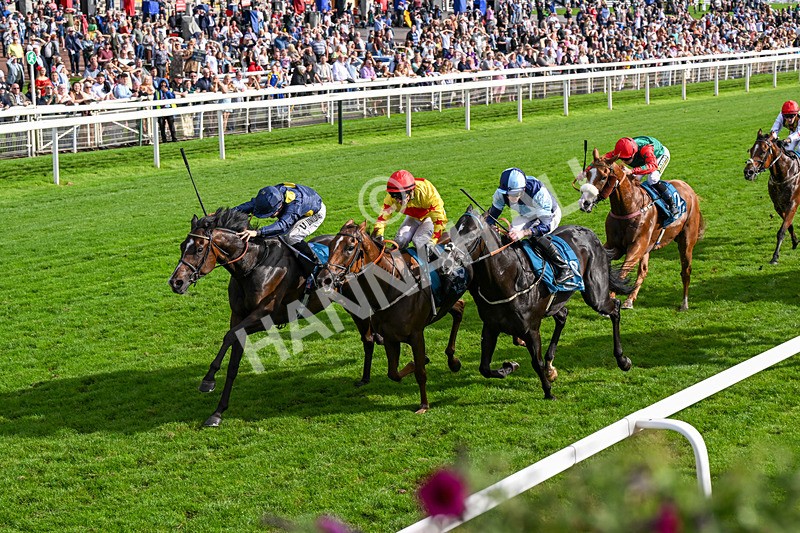060926-Race 6-Power Fizz-0396 - Race 6 4.25pm Eboracum Security Handicap