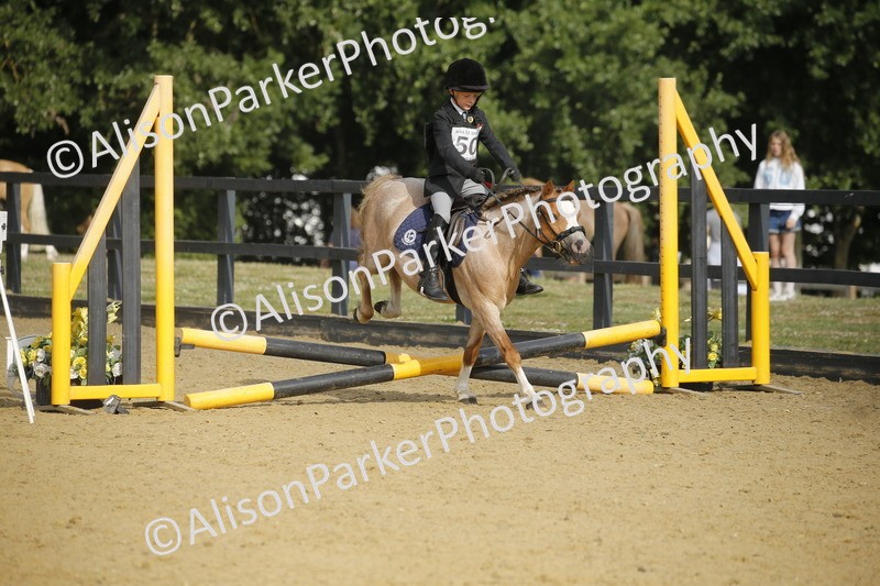 20250622-1242 - 40cm