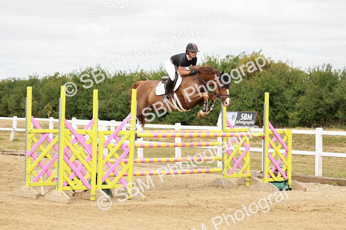 SBM_017487 - Class 21 - Senior Newcomers Championship 2d Rd