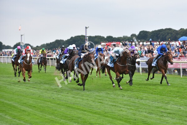 yr18082022r6-38 - Race 6 4.45 pm OR8wellness ebfstallions Nursery Handicap
