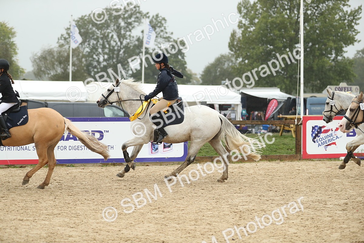 SBM_74144 - J16 - Junior Pony 75cm Championship