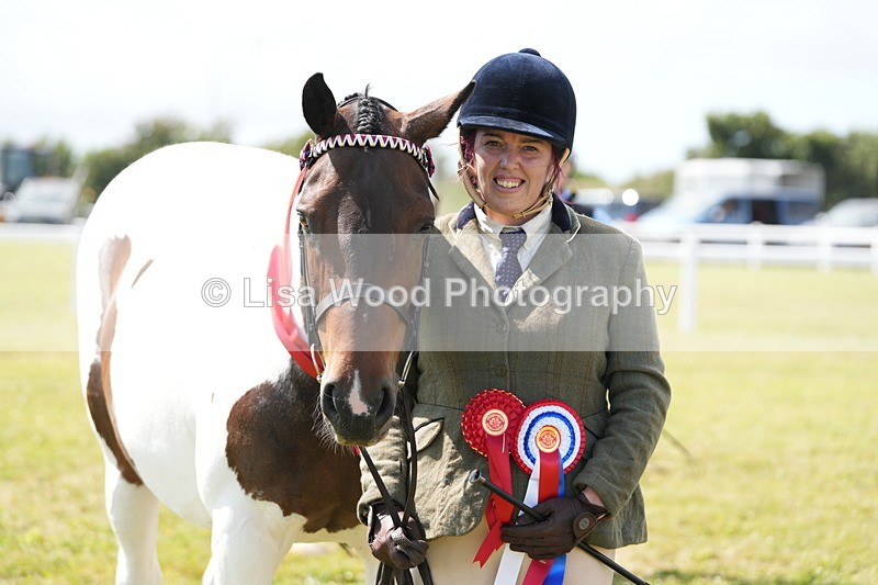 DSC07233 - Coloured Horse In Hand Championship