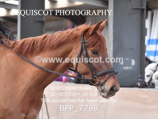 BPP_7798 - 70CM