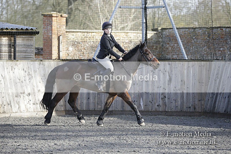BVRC 050320 0030 - Bourne Valley riding Club Show Jumping Tidworth 08/03/20