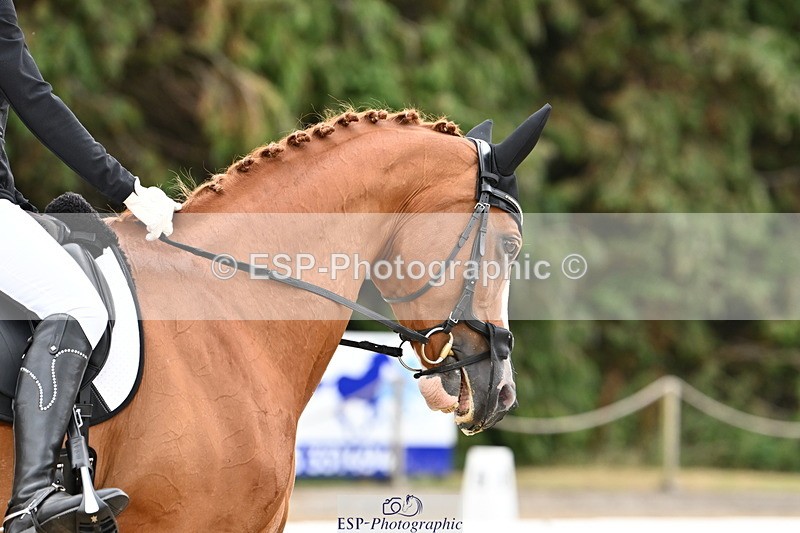 250808A-111930-00451 - 140-Laima.Davies-Romero