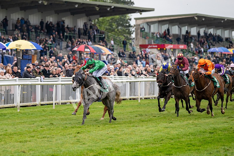 040524-Race 4-Star Of Lady M-4499 - Race 4