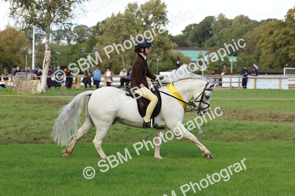 SBM_46348 - Working Hunter Pony Supreme Championship