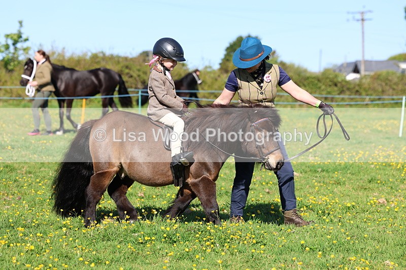 3E7A8754 - Class 2: Lead rein