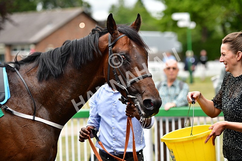 170625-Race 5-Blue RC-4038 - Race 5