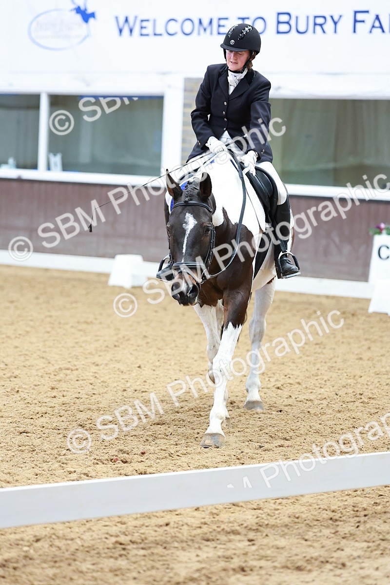 SBM_003576 - Class 15-16-18 - Novice 3-Elementary 1-PYO