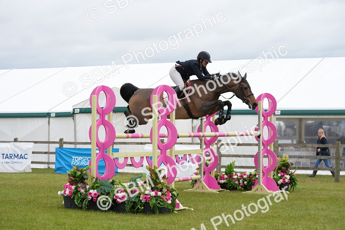 SBM_03084 - Class 201 - British Horse Feeds Speedi Beet Horse of the Year Show Grade  C