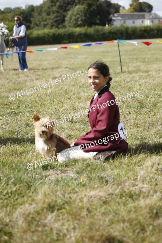 20250831-3702 - Dog Show