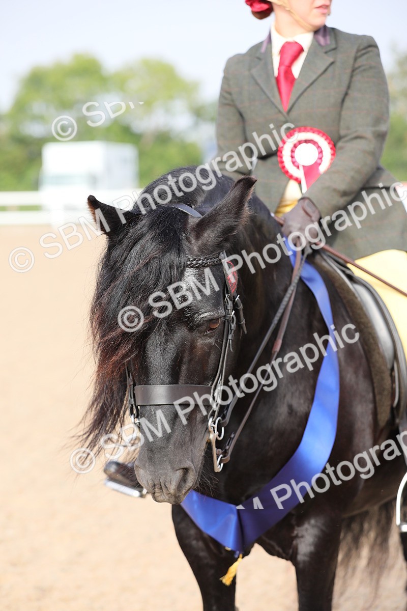 SBM_10158 - Class 302 Ridden M&M -Large Breeds