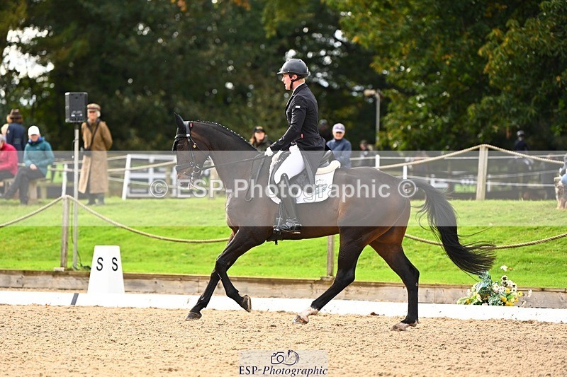 231021-135329-17732 - 351-MOONLIGHT.CHARMER-Aaron.Millar-DR