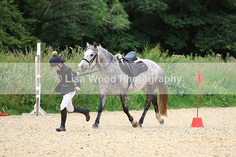 3E7A9596 - Walk trot run