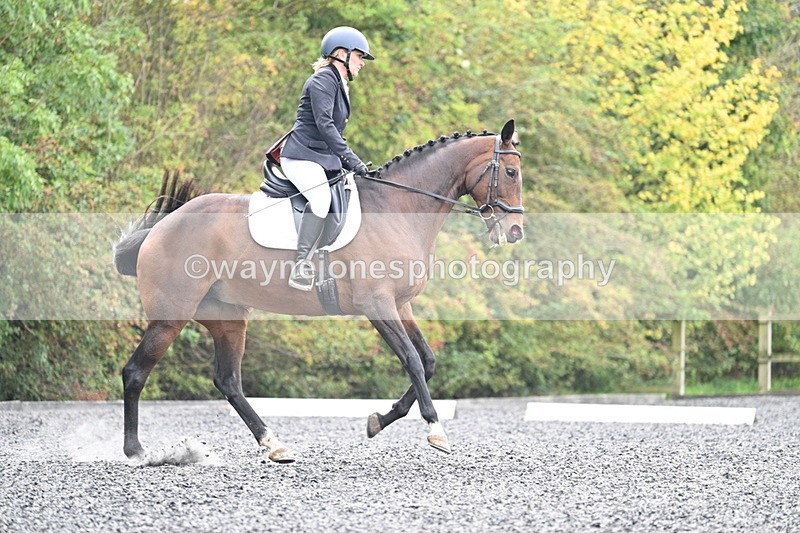 WJ7_3865 - Time 11:04 to 11:38