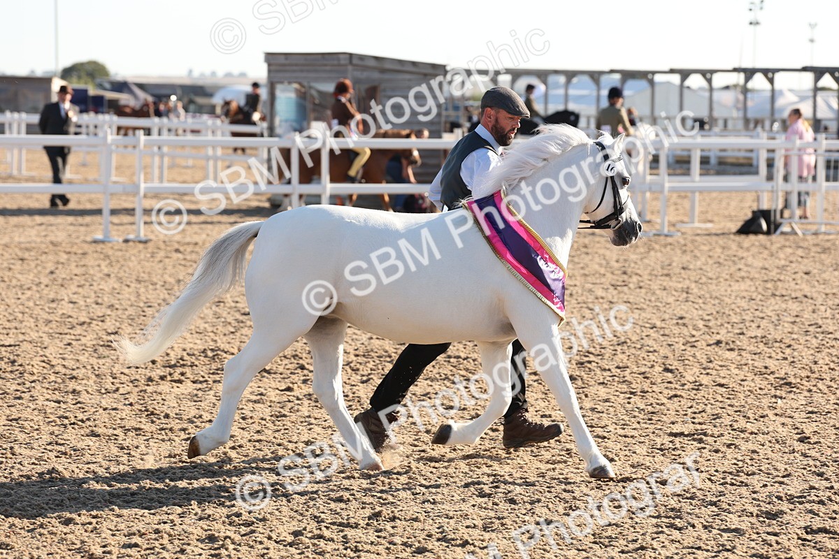 SBM_10813 - Class 201 - Best Turned Out - IH