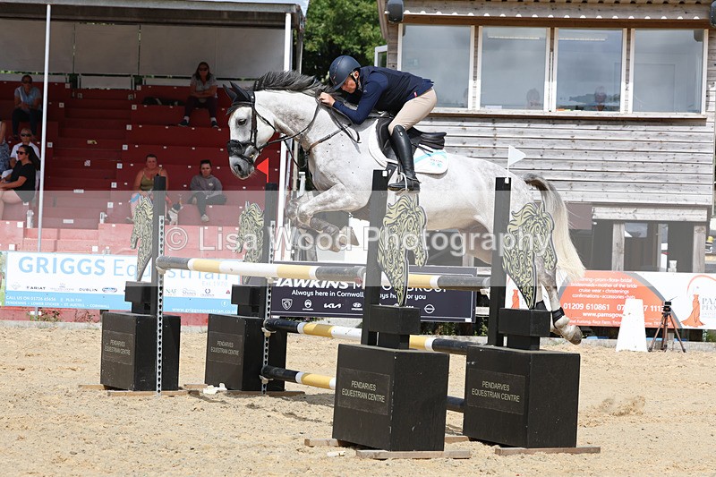 3E7A1871 - Class 9: Senior Foxhunter/1.20 open