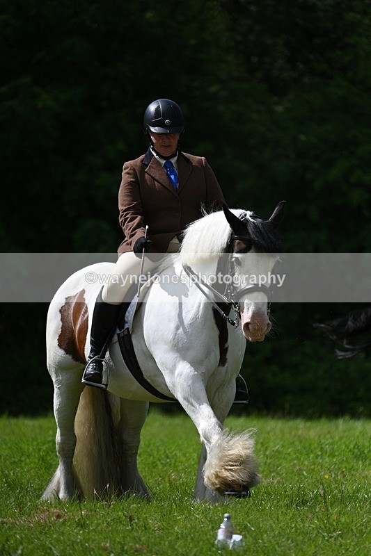 WJ7_1346 - Class 11 Condition & Turnout