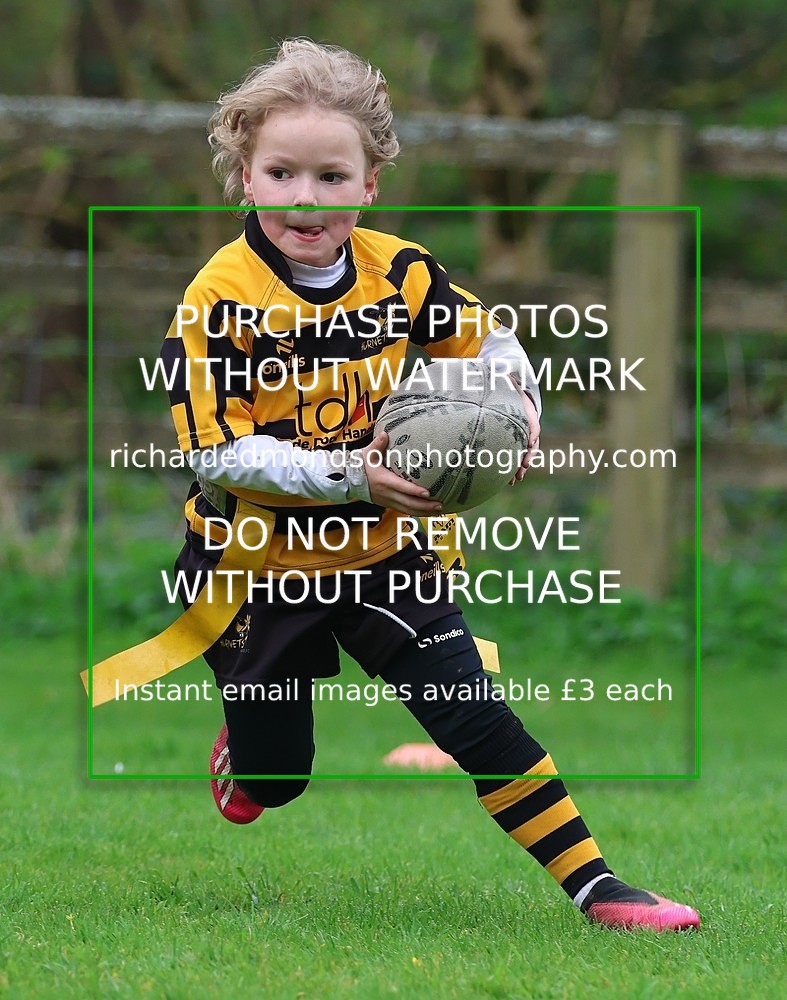 533A4940 - Kendal Rugby Under 7's (12/4/26)