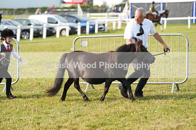 DSC04409 - Classes 44 & 45: NPS M&M Brood Mare and Foal