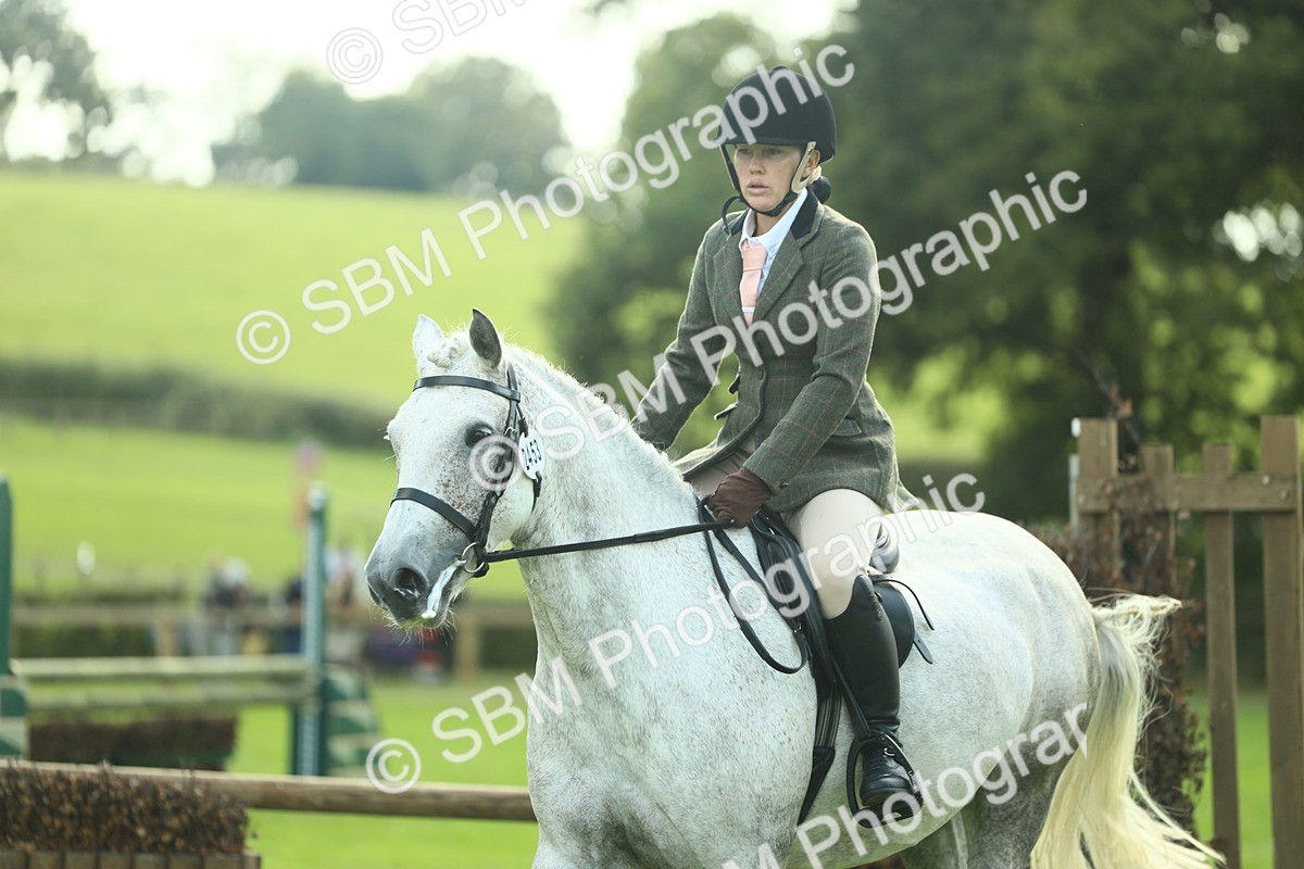 SBM_50691 - S33 - Working Hunter & Working Show Horse