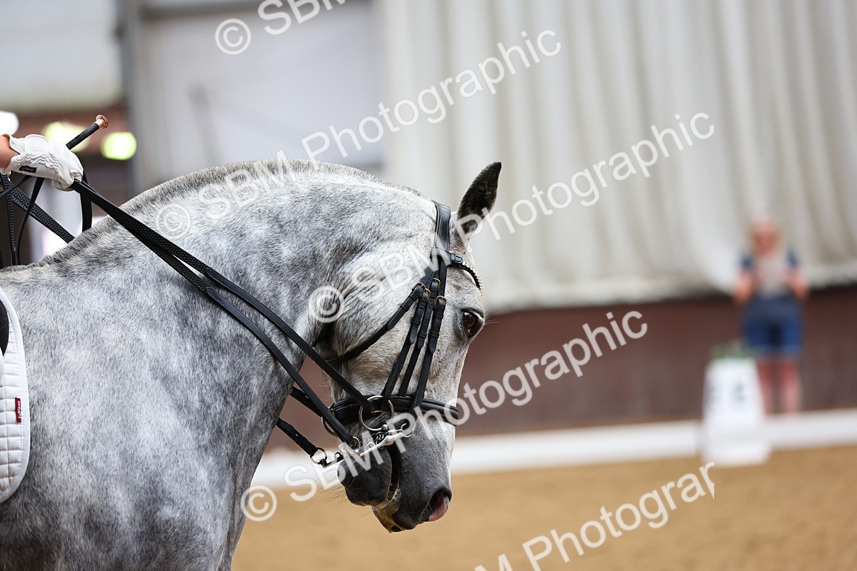 SBM_020214 - Class 7 - M4