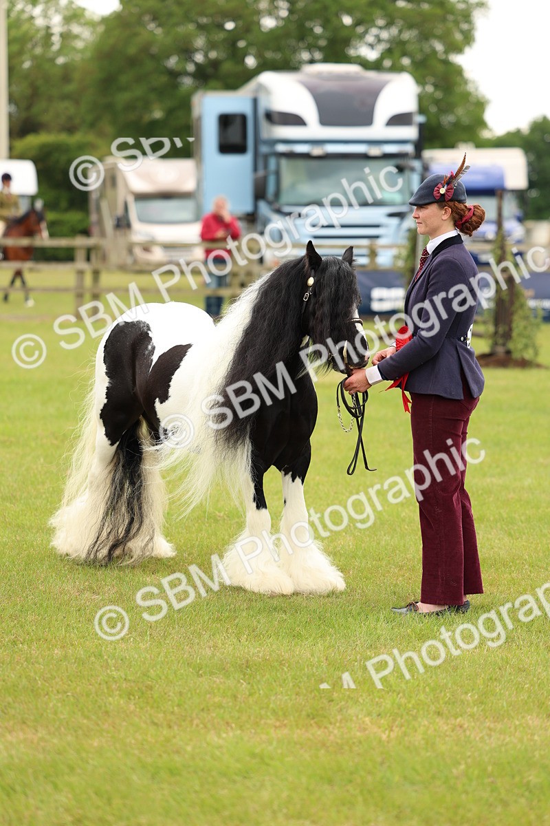 SBM_06346 - Class 39-41 TGCA In Hand and Ridden
