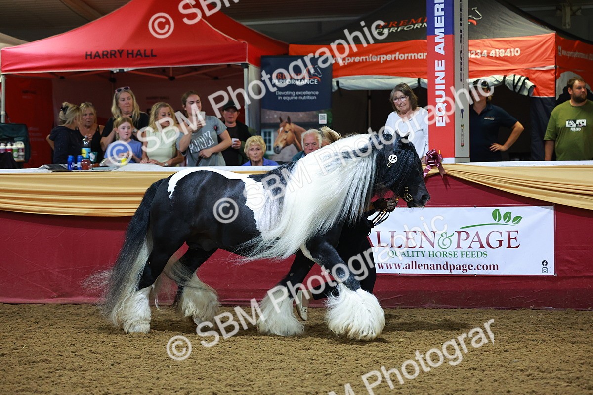SBM_14897 - Class L - Coloured Champ