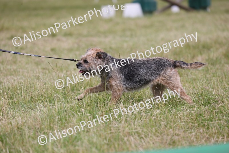 20260614-4379 - Class 25 - Horse and Hound Jumping