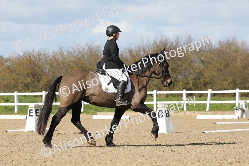 20260314-4734 - CT3 - Prelim 2