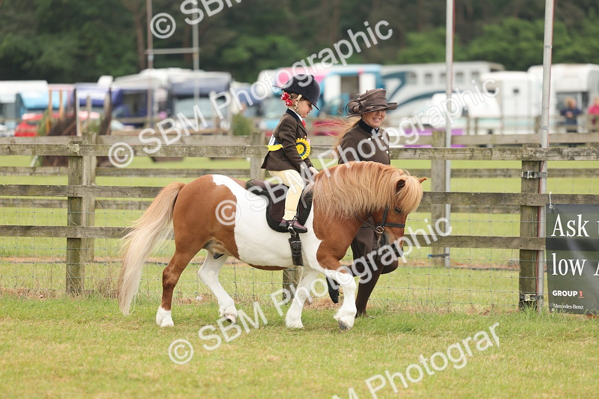 SBM_06846 - Class 74-75 - M&M Lead Rein and First Ridden Pony
