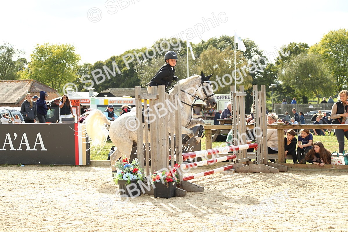 SBM_49445 - J7 - Junior Pony 60cm Championship