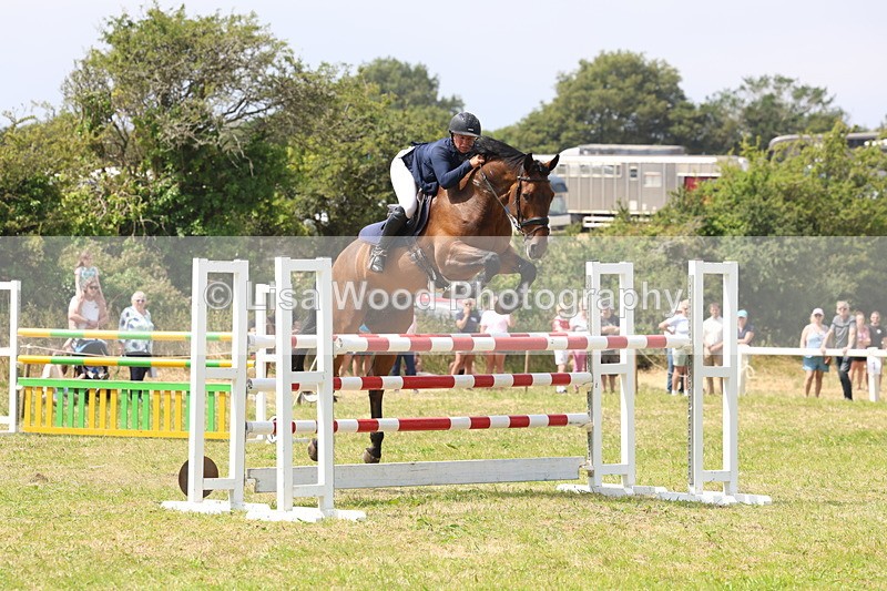 3E7A3442 - Class 10: Senior Foxhunter/1.20 open