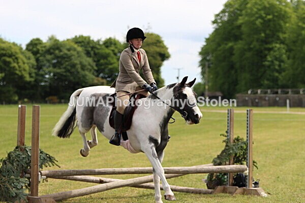 IMG_3226 - Working Hunter