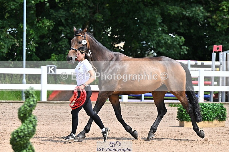 240718A-105251-01232 - Trot Up 12pm to 1pm