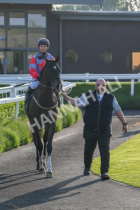 310524-Race 2-Dandy Fitz-8521 - Race 2