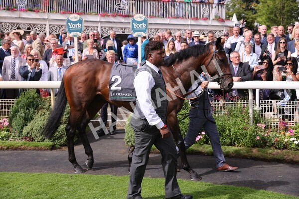 yr17082022r4-16 - Race 4 3.35pm Juddmonte International Stakes (British Champions Series Race)