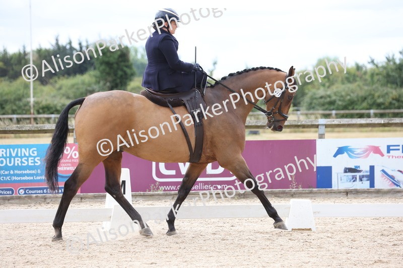 20250706-0412 - Class 16 - Novice 6