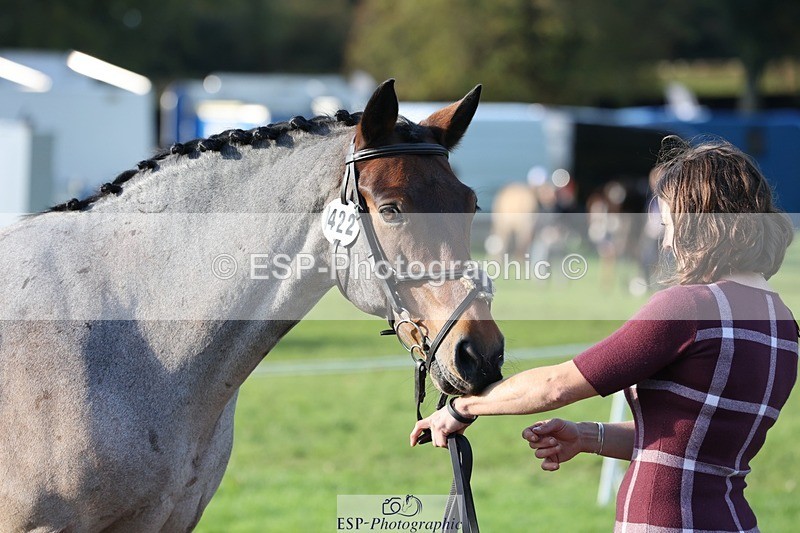 241027-093146-15332 - 422-Janine.Paterson-LAHINCH.TEDDY