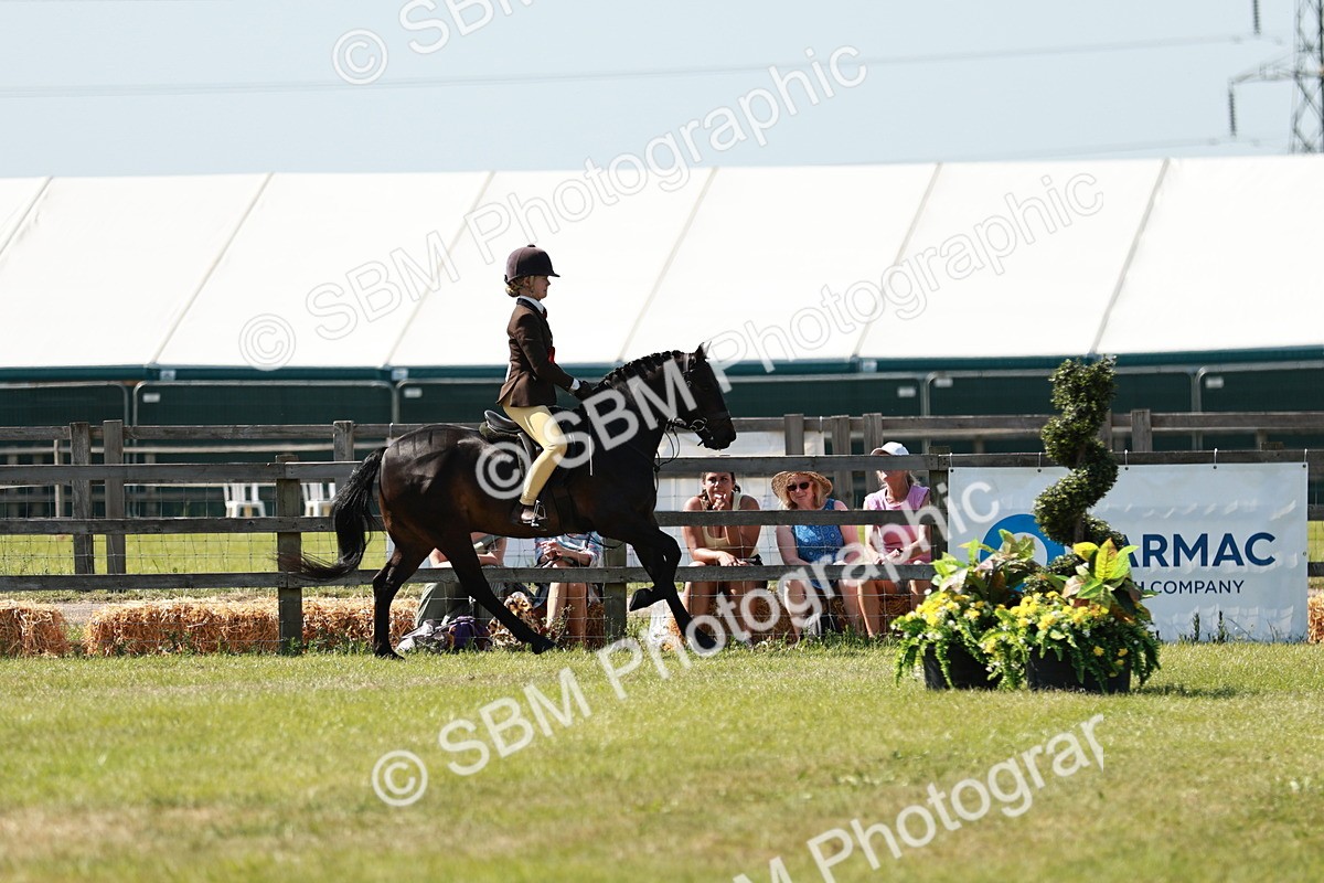 SBM_18524 - Class 112-113 - BSPS LIHS Working Sports Pony