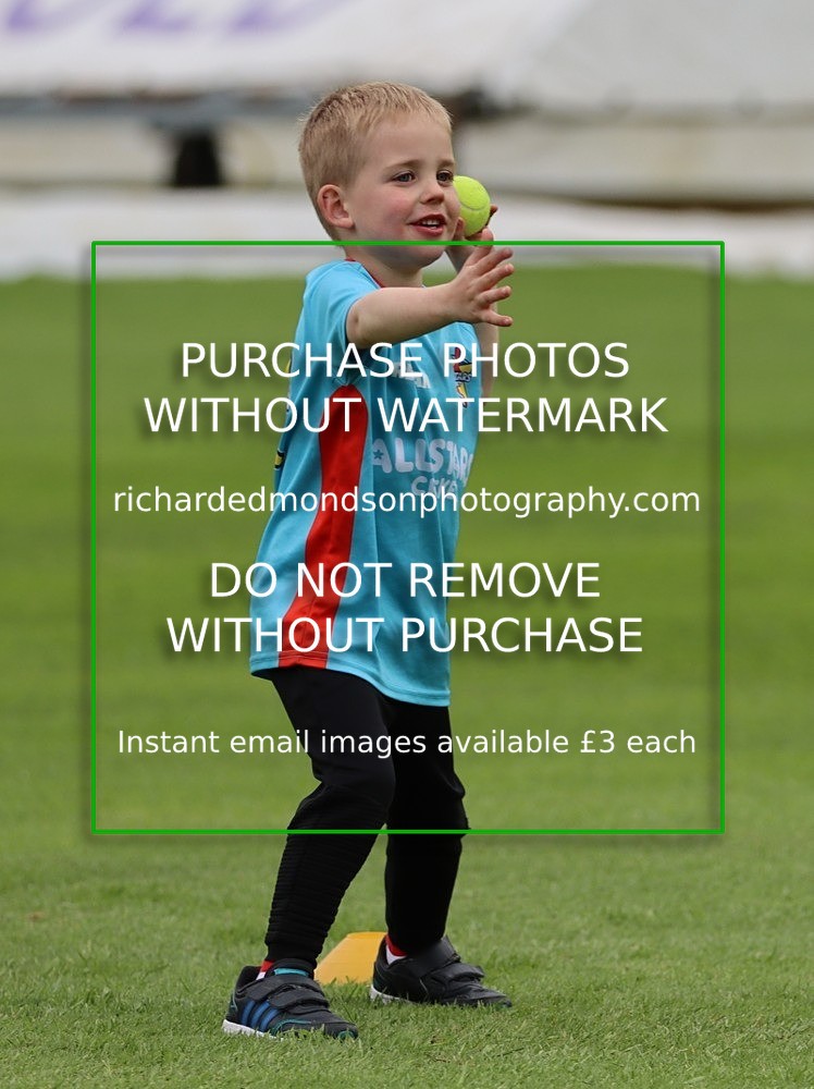 IMG_1100 - All Stars Cricket-Netherfield